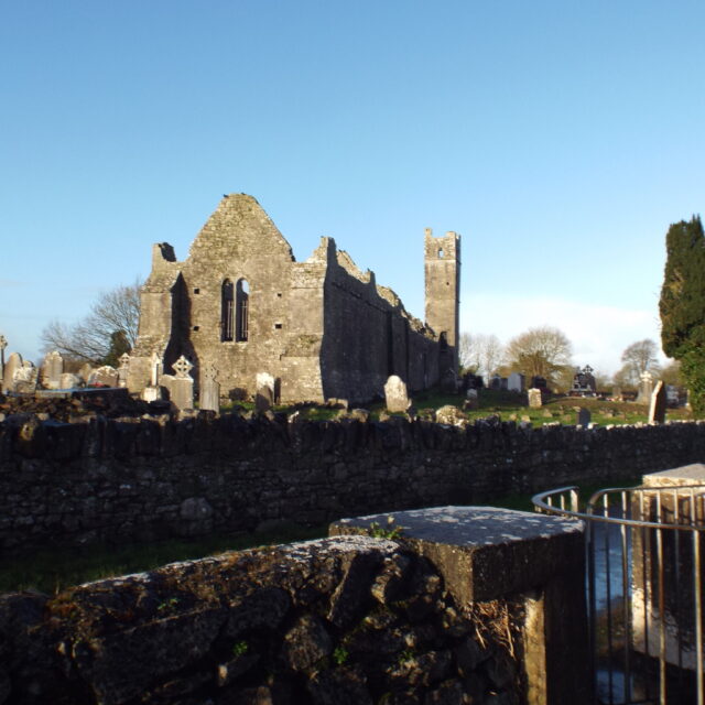 Mungret Churches