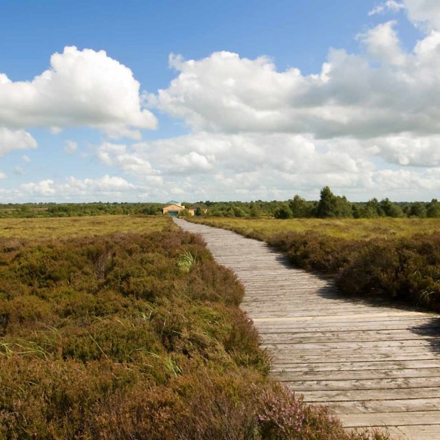 Corlea Iron Age Roadway and Visitor Centre