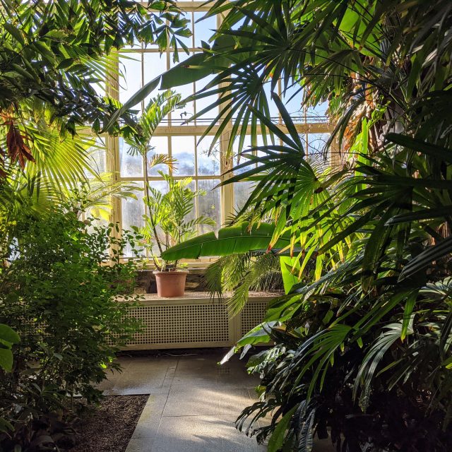 National Botanic Garden of Ireland – Glasnevin